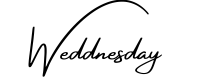 Weddnesday Signature Logo