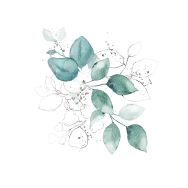 Shape